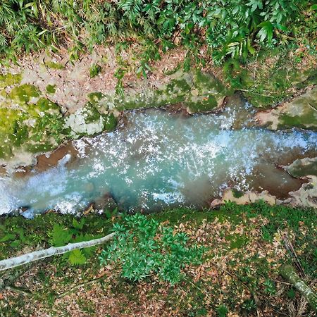 Narrows Escape Rainforest Retreat Монтвилл Экстерьер фото