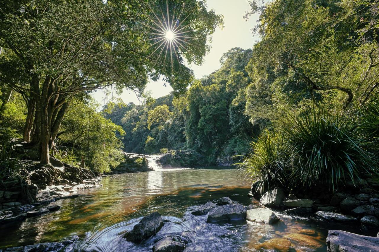 Narrows Escape Rainforest Retreat Монтвилл Экстерьер фото