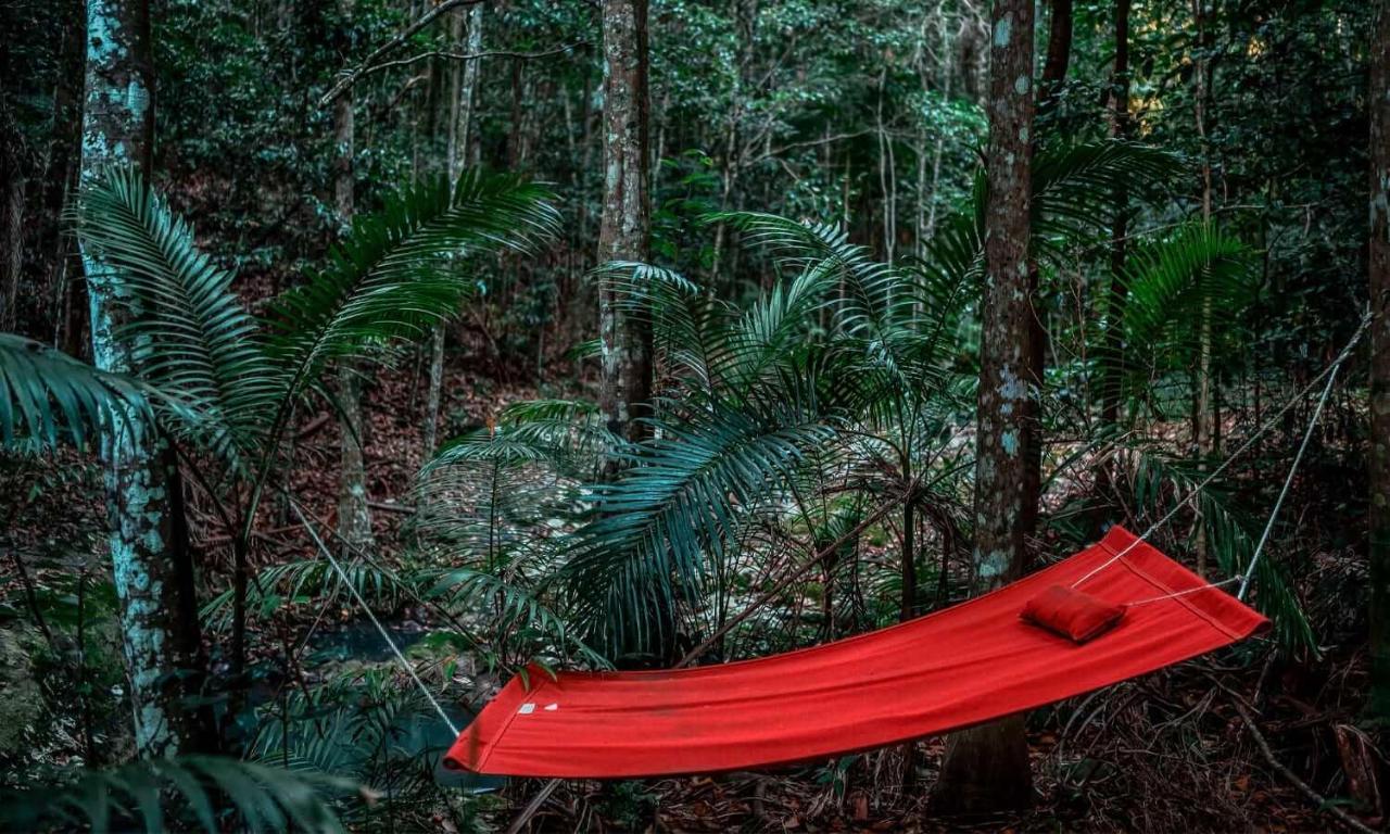 Narrows Escape Rainforest Retreat Монтвилл Экстерьер фото