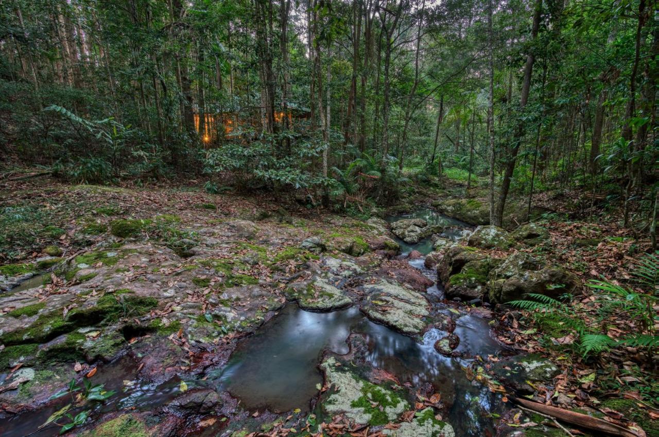 Narrows Escape Rainforest Retreat Монтвилл Экстерьер фото