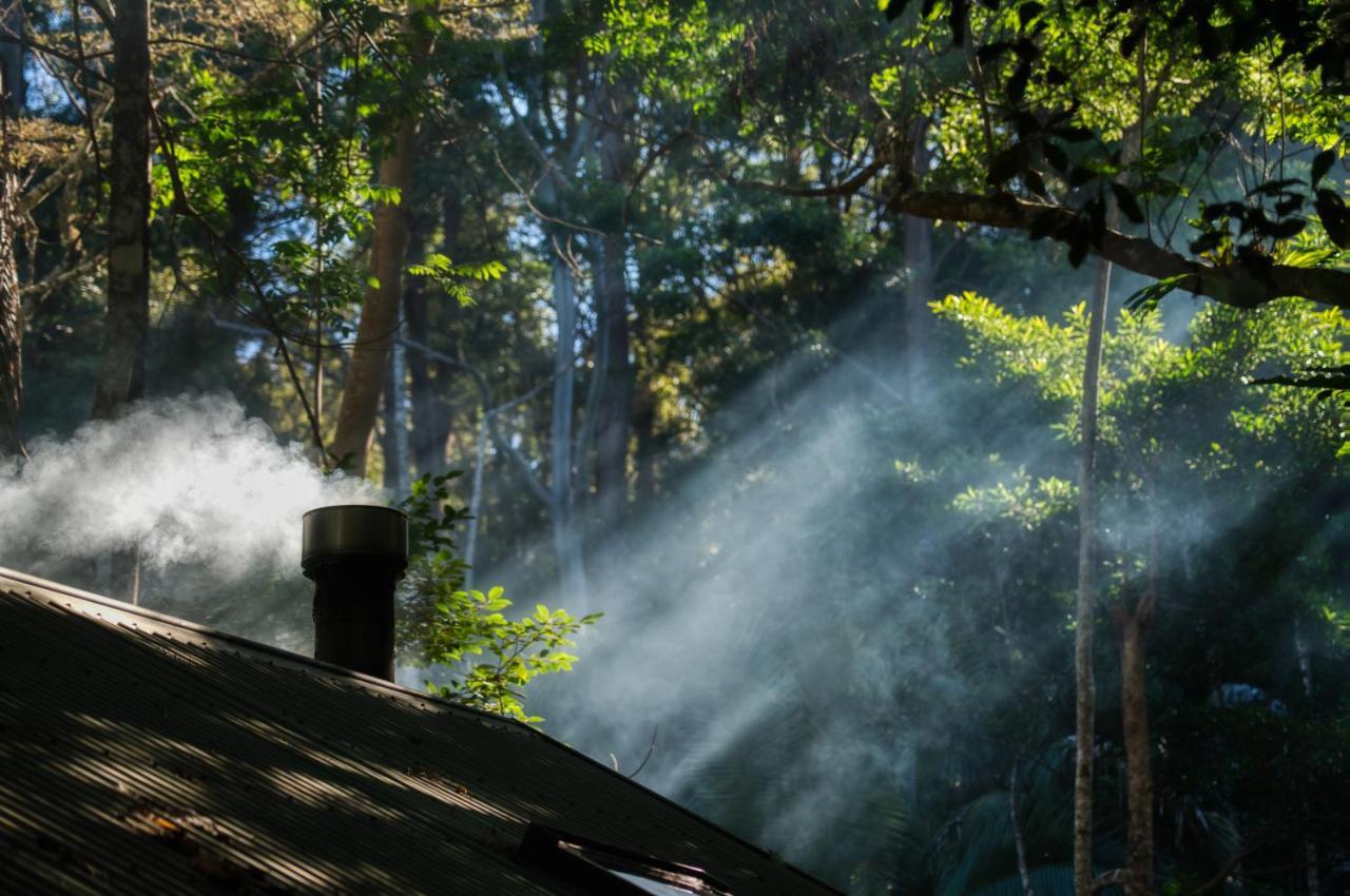 Narrows Escape Rainforest Retreat Монтвилл Экстерьер фото