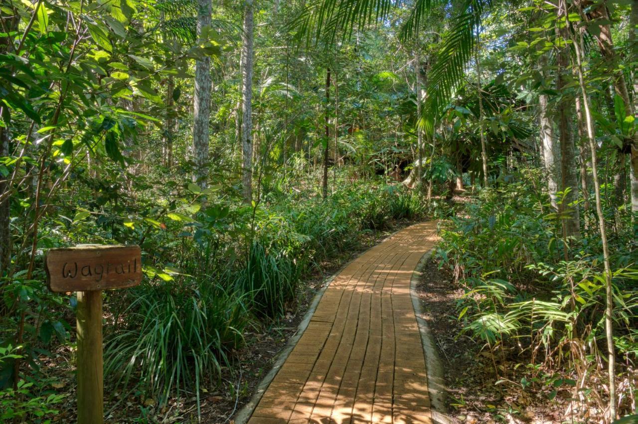 Narrows Escape Rainforest Retreat Монтвилл Экстерьер фото