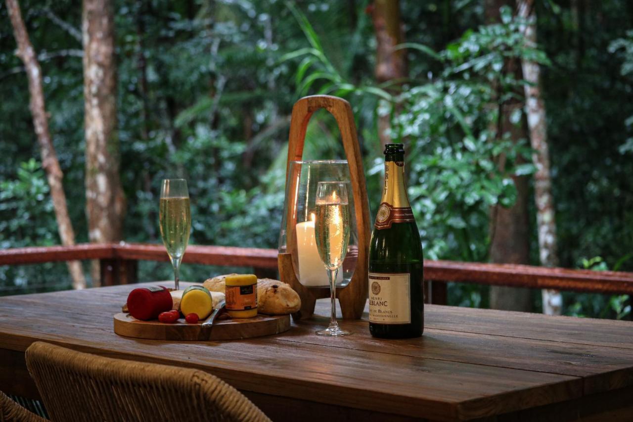 Narrows Escape Rainforest Retreat Монтвилл Экстерьер фото
