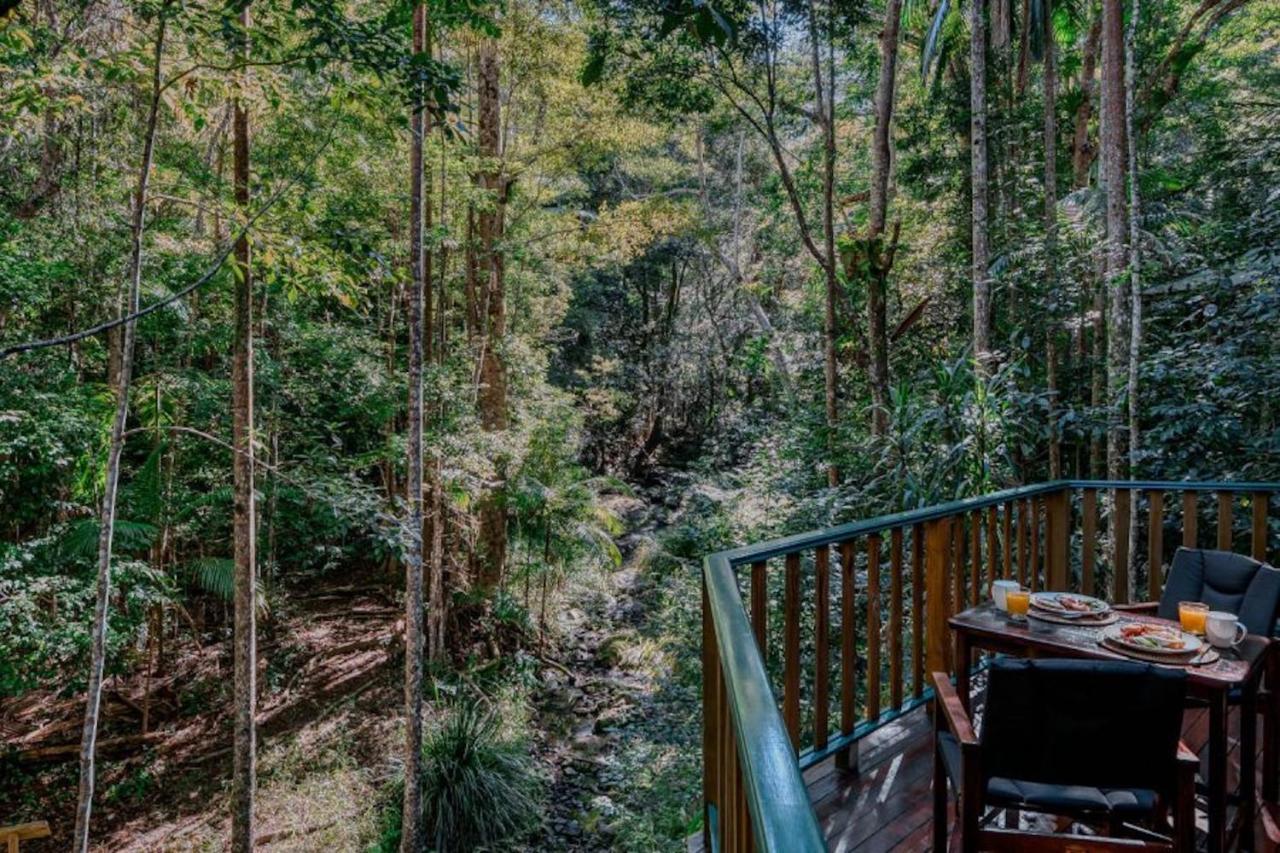 Narrows Escape Rainforest Retreat Монтвилл Экстерьер фото