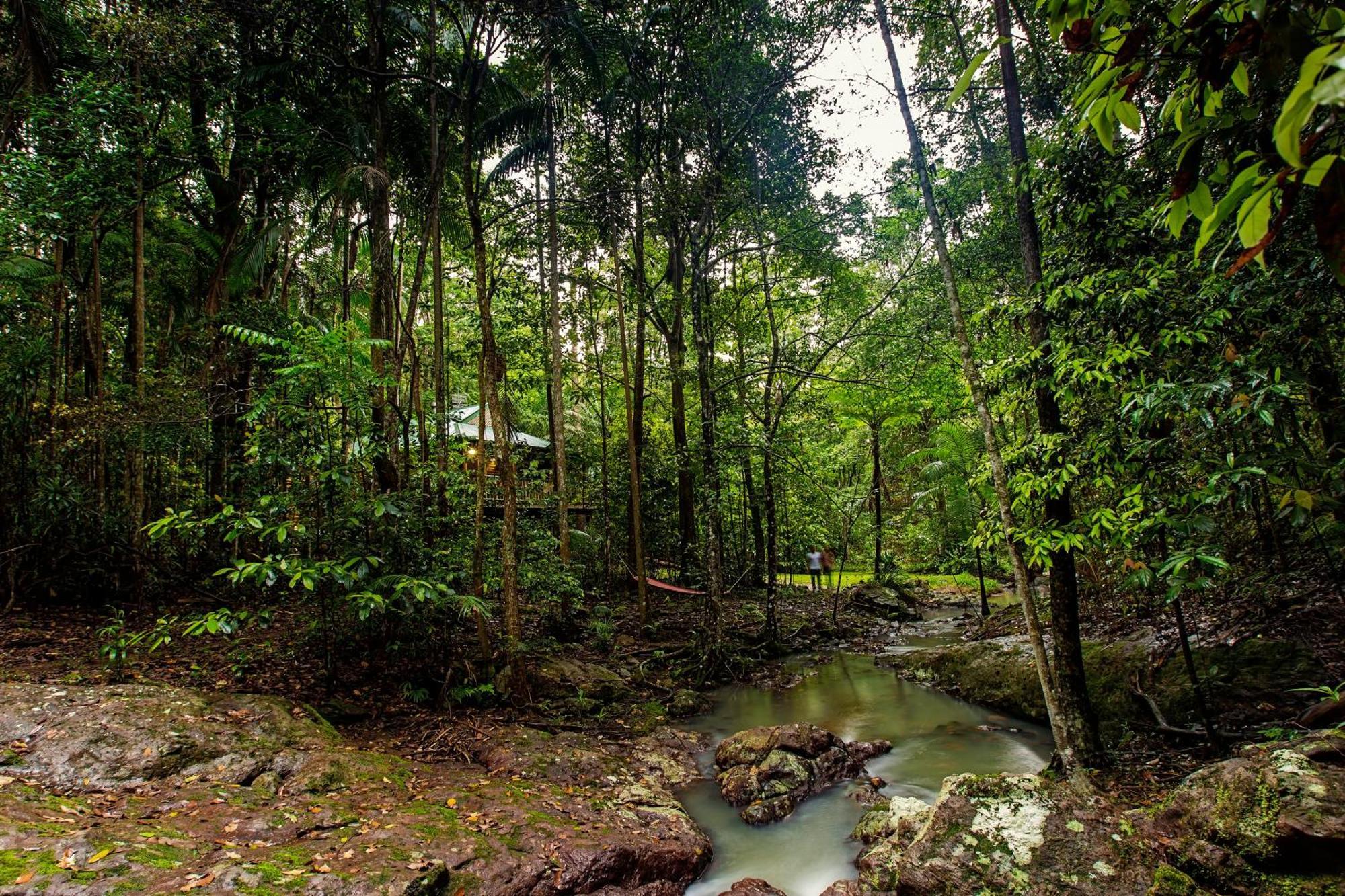 Narrows Escape Rainforest Retreat Монтвилл Экстерьер фото