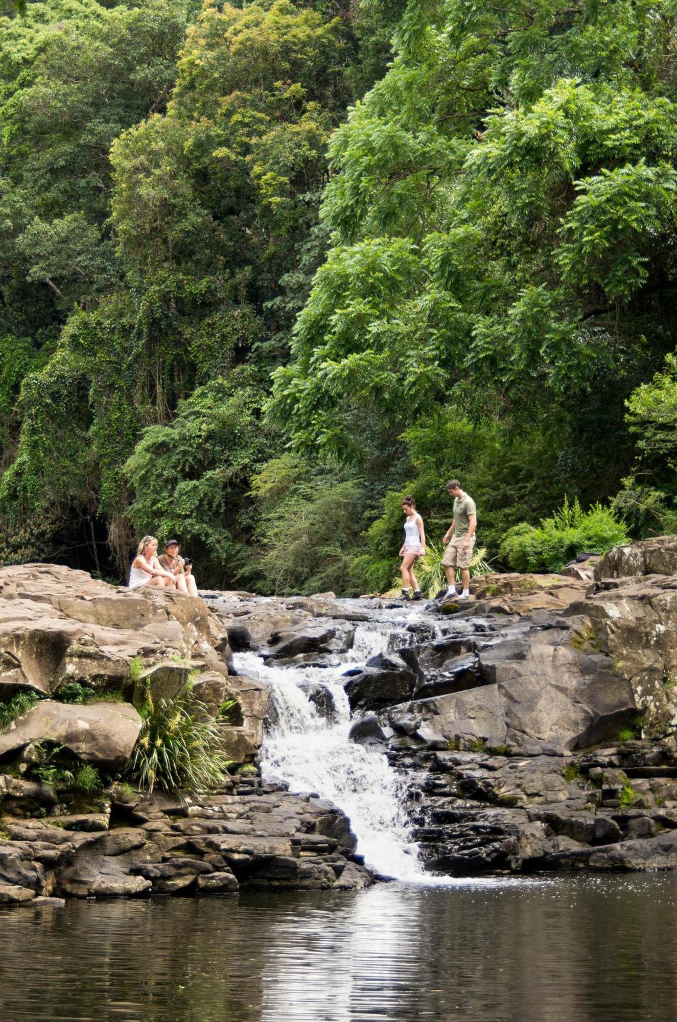 Narrows Escape Rainforest Retreat Монтвилл Экстерьер фото