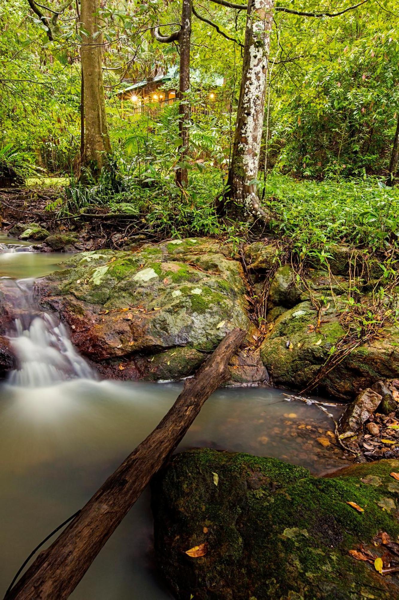Narrows Escape Rainforest Retreat Монтвилл Экстерьер фото