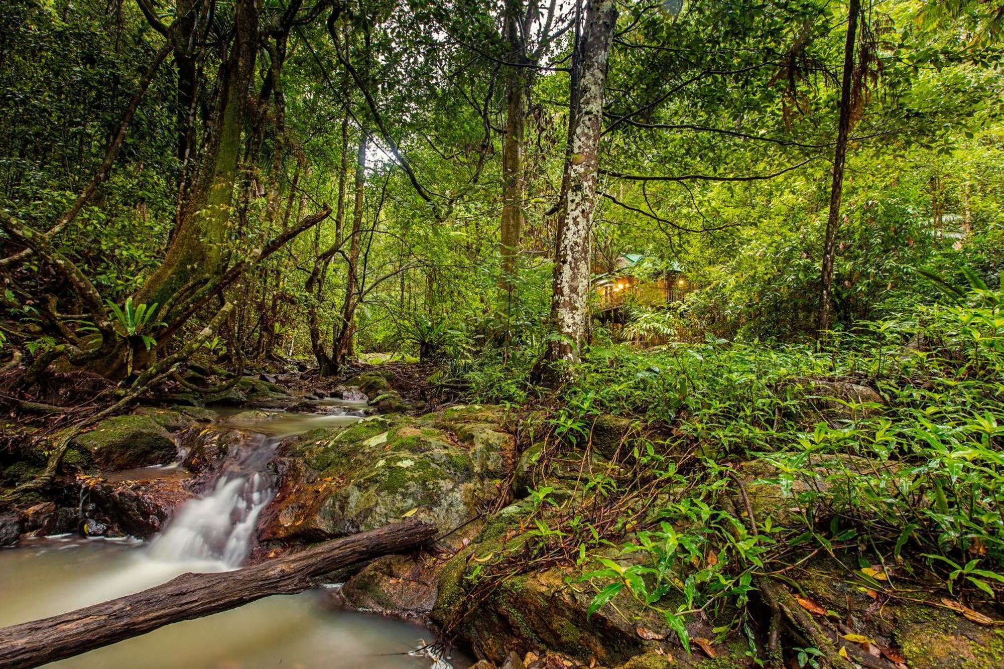 Narrows Escape Rainforest Retreat Монтвилл Экстерьер фото