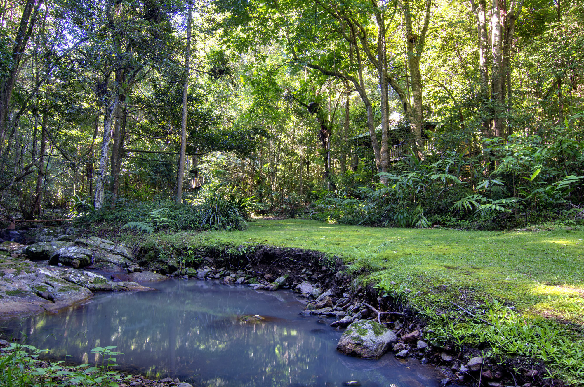 Narrows Escape Rainforest Retreat Монтвилл Экстерьер фото